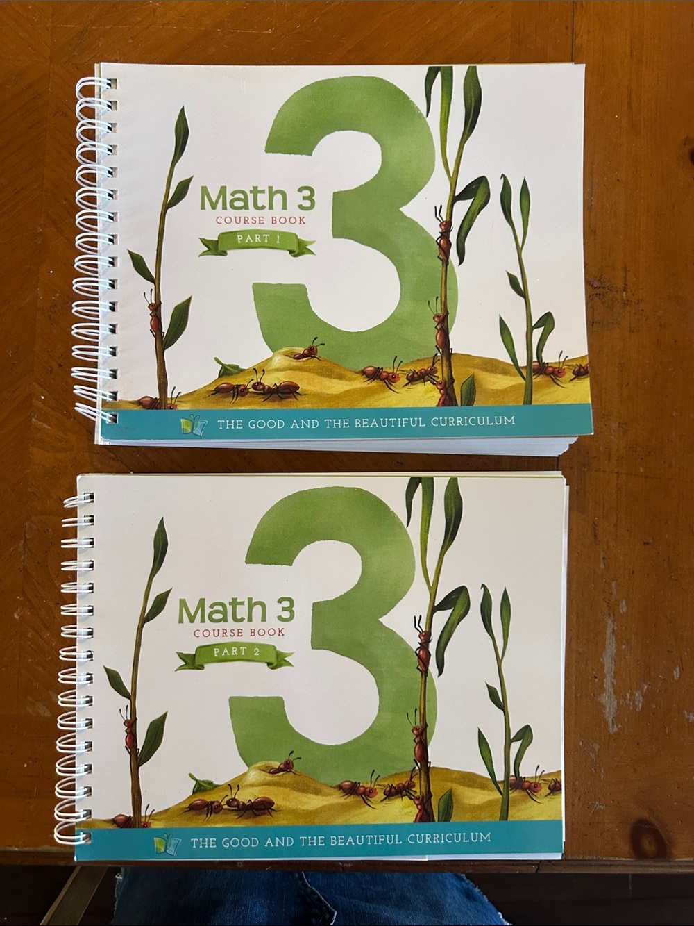 The Good and the Beautiful Math 3 Course Book - Original Version